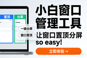 打工人救星！小白窗口管理工具让窗口置顶分屏 so easy！