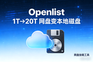 Openlist 网盘挂载工具，1T—>20T，网盘可变本地磁盘！