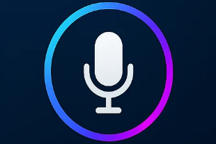 VoiceAssistant 本地实时语音转文字小工具